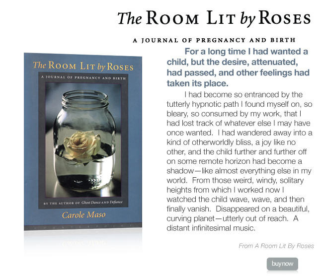 The Room Lit by Roses